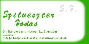 szilveszter hodos business card